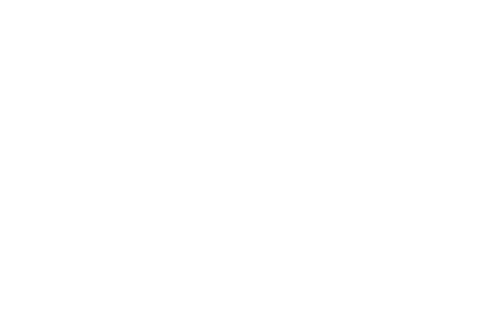 Schienenverkehr Icon